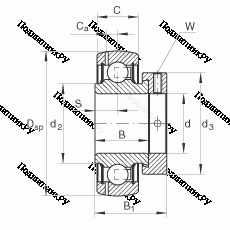 Подшипник GRAE 25-NPP-B